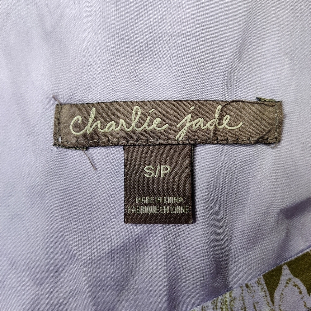 Charlie Jade Multicolor Maxi Dress Size S - Picture 4 of 4